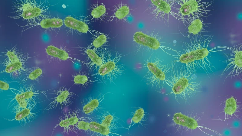 Šta je Helicobacter pylori, koji su simptomi i kako se leči?