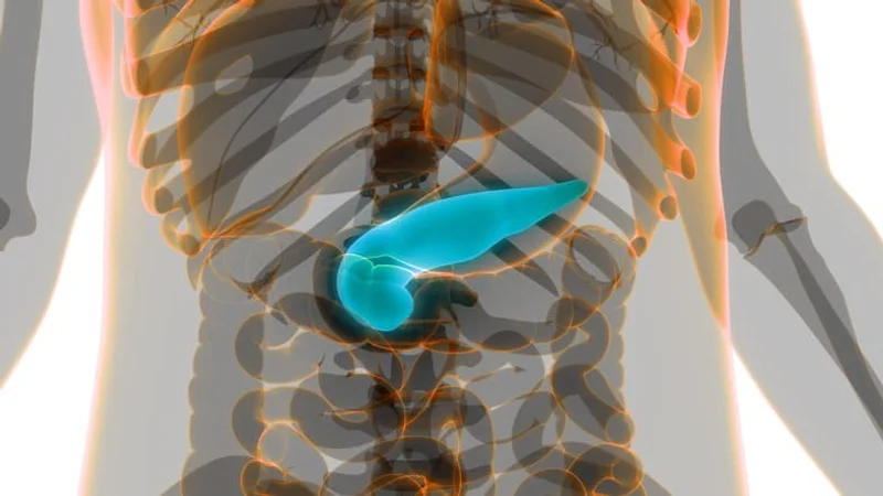 Šta je uvećana jetra i zbog čega nastaje hepatomegalija?