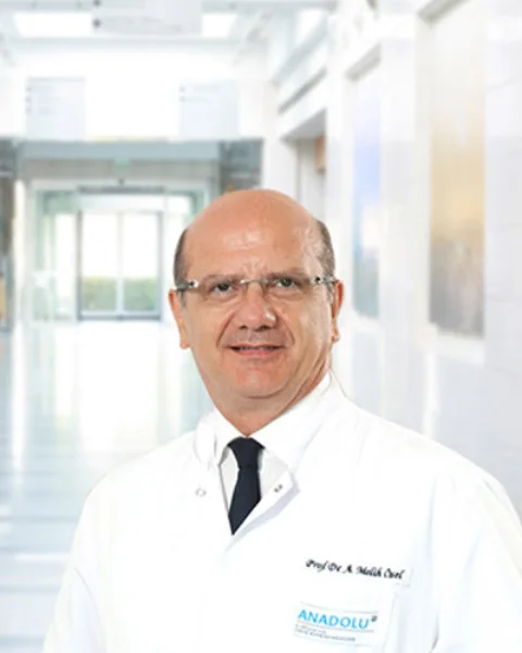 Ahmet Melih Özel