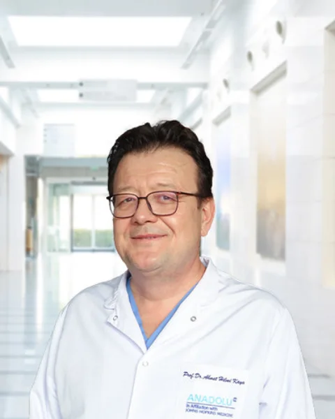 Ahmet Hilmi Kaya