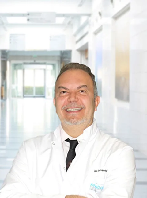 Ahmet Hamdi Önay