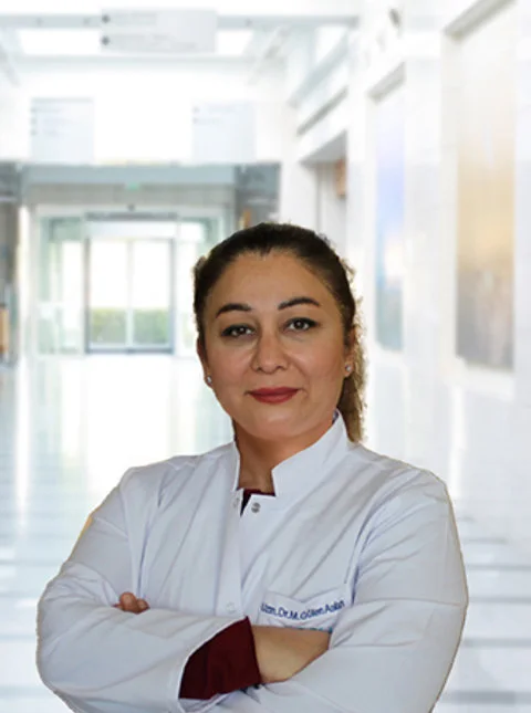 Mevhibe Gülen Aslan